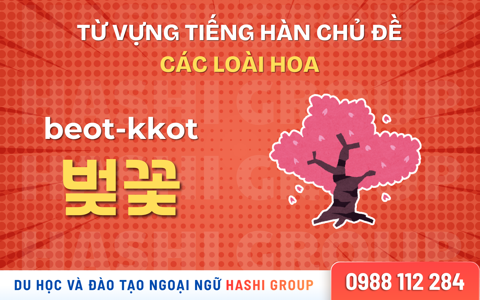 [CÓ PHIÊN ÂM – DỄ HỌC] 50 TỪ VỰNG TIẾNG HÀN CHỦ ĐỀ CÁC LOÀI HOA